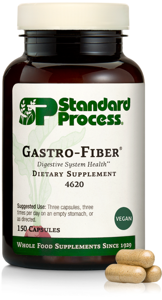 gastro fiber