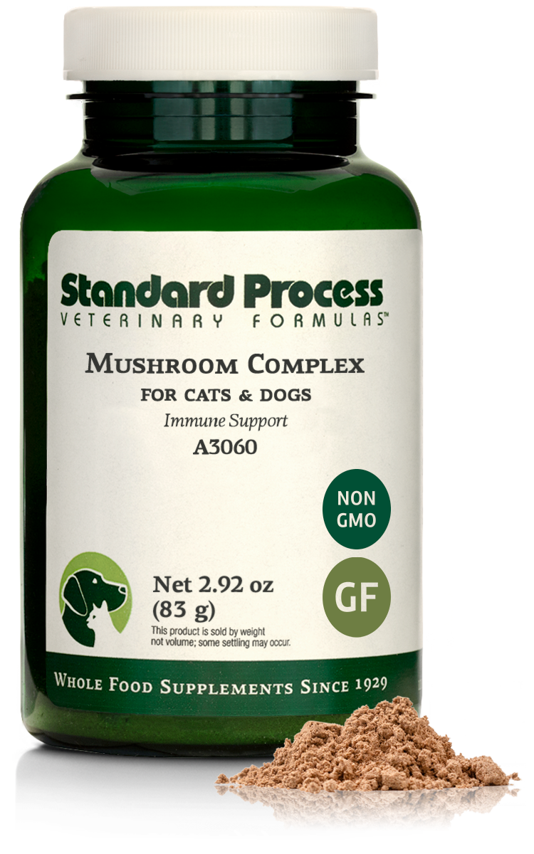 mushroom complex